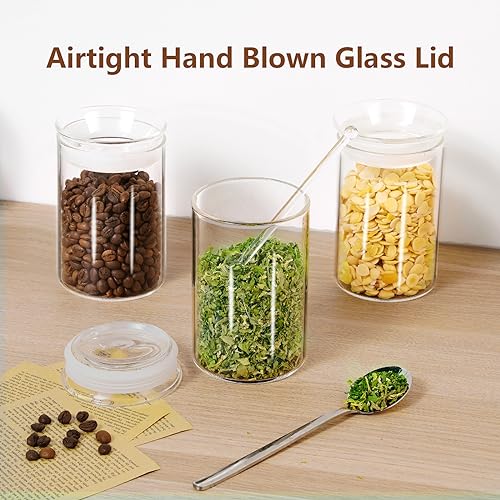ZENS Glass Canisters Jar with Lid, Airtight Sealed 15 Fluid Ounce Spice Jars Sets of 2, Clear Small Kitchen Storage Containers for Herbs,Tea 4.76 x 3.15 IN - size: 3-15oz 2Pack