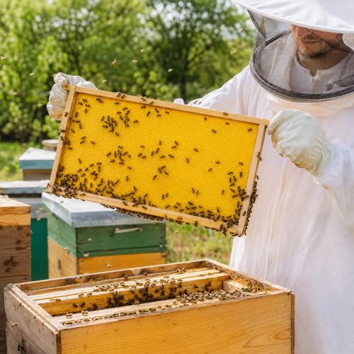 Yellow Bee Foundation Sheets for 8-1/2-Inch Deep Beehive 20PCS | Fits Langstroth Deep Frames, Wax-Coated Plastic, Food-Grade
