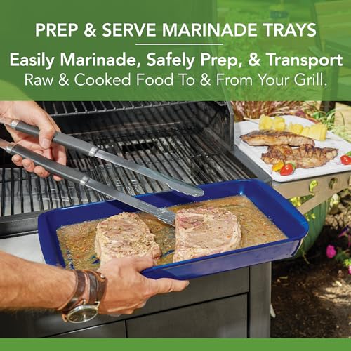 Tovolo Steak Marinating Container Large Grill Marinade and Prep Tray Set for Meat Veggies Burgers, Dishwasher Safe BBQ Marinating Tray with Cover for Thawing Prepping or Serving 17x10.5 in