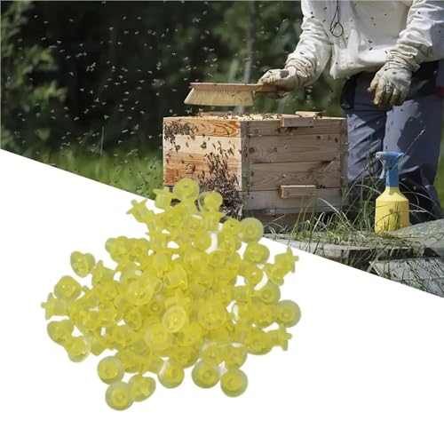 300PCS Queen Bee Rearing Cup Plastic Vivid Color Beekeeping Bee Cell Cup for Beekeeper Equipment Bees Tools(Yellow) - color: Yellow