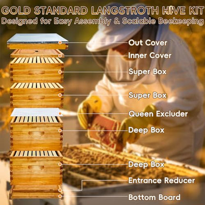 10-Frame Langstroth Beeswax Coated Bee Hive Includes 2 Deep Hive Boxes and 2 Super Bee Boxes with Beehive Frames and Foundations (4 Layer)