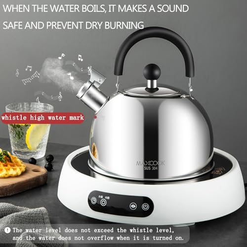 304 Stainless Steel Whistling Tea Kettle 3.17 Quart/3L Tea Pot, Suitable to Boiling Water & Tea on Induction Stove, Gas Stove Top - color: Silver, size: 3.4 Quarts