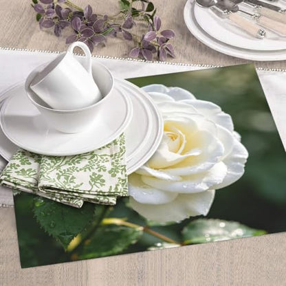 White Rose Dish Drying Mat for Kitchen Counter, Absorbent Microfiber Drainer Mats, Non-slip Kitchen Draining Mat for Coffee Machine Dish Rack Pad 18"x16" Dish Drainer Pad - color: White Rose