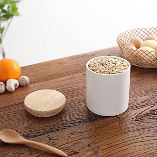 LEETOYI Ceramic Food Storage Jar with Seal Lid, Serving for Ground Coffee, Tea, Sugar, Salt and More - 31 Oz (White) - color: White