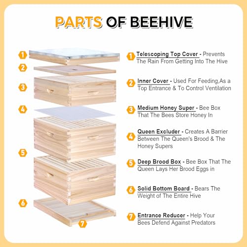 BeeCastle 10-Frame Complete Bee Hives and Supplies Starter Kit,Beehives for Beginners with Beehive Frames and Waxed Foundations (2 Deep Bee Boxes & 1 Medium Super Bee Box) - size: 2 Deepes & 1 Medium