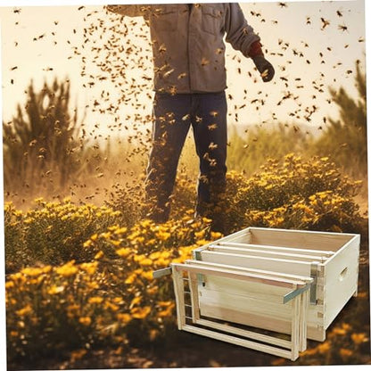 2PCS Stainless Steel Beehive Frame Holder, 5 Full Frame Capacity Bee Hive Stand, Heavy Duty Beekeeping Supplies for Beekeeper, Honeycomb Rack