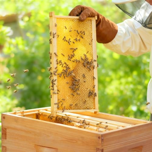 Honey Lake 20 Pack Deep Beehive Frames Kit with Durable Wooden Frames and Food-Grade Beeswax-Coated Plastic Foundations for Beekeeping (Yellow) - color: 20Pack-Yellow