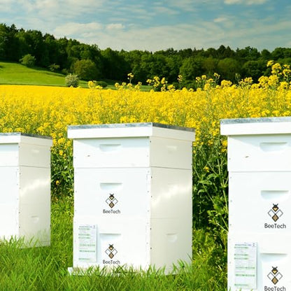 8 Frame Langstroth Bee Hive, Painted Beehive Kit with Windows Includes Unassembled Beehive Box with Beehive Frames and Foundations (2 Deep & 2 Medium)