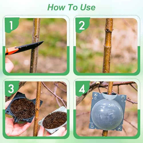 30 Pcs Air Layering Propagation Kit Reusable Half Black Half Transparent Grafting Ball Air Layering Pods Propagation Box Plant Rooting Grafting Box for Plants, Medium