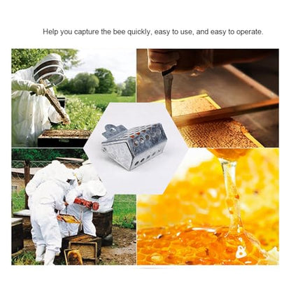 Galvanized Iron Queen Bee Catcher Clip for Beekeepers Durable Rust Queen Cage Tool with Smooth Edges for Safe Bee Handling