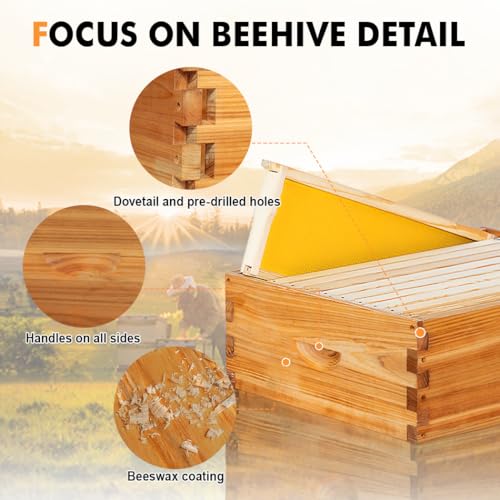 10 Frame Medium Super Beehive Box Wax Coated Bee Hives Includes Beehive Frames and Waxed Foundations (Unassembled) - size: Medium super box