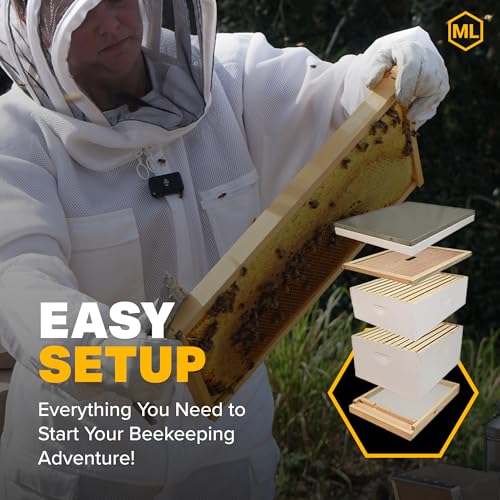 Mann Lake Complete Hive Kit Combo, Includes 1 Deep and 1 Medium Super Box, Quality Pine, Ideal for Beekeeping Beginners, Made in USA, 10 Frame, Painted