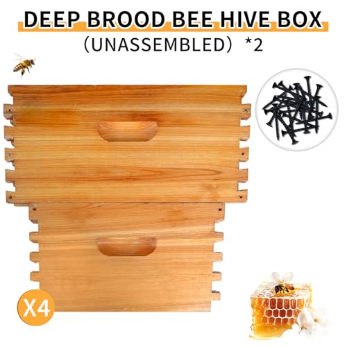 2 Pack Beehive Deep Brood Box 10 Frame Langstroth Deep Brood Bee Hive Box Beekeeping Supplies - size: 2 Pack Beehive Deep Brood Box