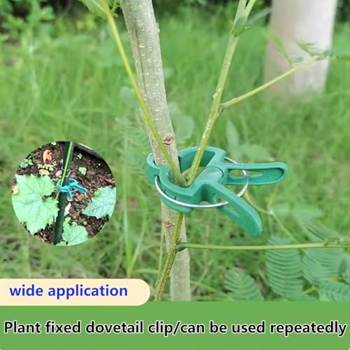 40Pcs Plant Clip Garden Clip Plant 2 Size Reusable Tomato Clip | Multi-Purpose Plant Rattan Clip Rose,Sturdy Cucumber Orchid Clip Plant Support Adjustable Clip Green (20 Large + 20 Small) - size: Large 20,Small 20