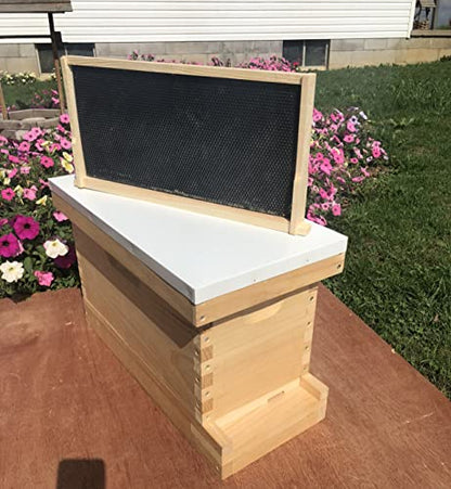 5 Frame Deep 9 5/8 Nuc Complete Bee Hive with Frames & Foundations (Un-Assembled) (Solid Bottom)