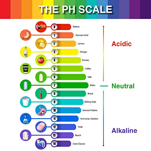 6 Pack pH Test Papers 480 Strips Litmus Paper Full Range 1-14 | pH Test Strips Soap Making Testing for Water Wine Saliva Urine Soil, pH Strips 6 Test Pipette Droppers with Storage Case