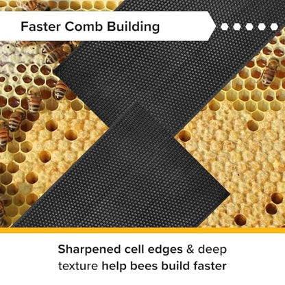 Mann Lake 5 5/8" Waxed Black Rite-Cell Foundation Sheets, Made in the USA, BPA-Free, Food-Grade, Beeswax-Coated for Beehive Frames, Fits 6 5/8" Hive Bodies, Durable, Wax Moth Resistant, 100-Pack - color: Black, size: 5-5/8-Inch
