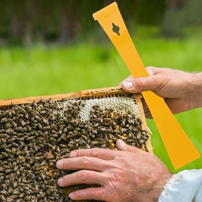 SUPVOX 2pcs Stainless Steel Beekeeping Hive Tool Beehive Scraper and Frame Lifter Wear-Resistant Yellow Beehive Tool for Beekeepers