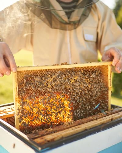 vensovo 10 Pack Bee Frames Deep - Bee Hive Frames and Wax Foundations Yellow Beehive Frams - color: Yellow