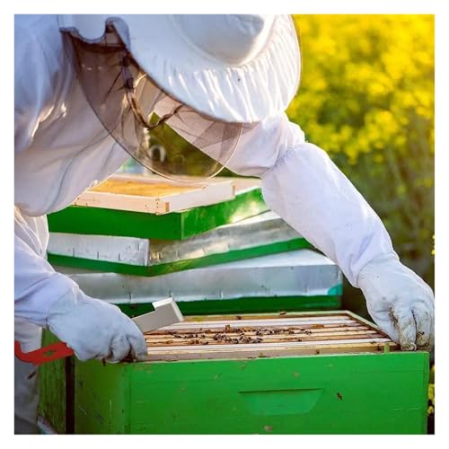MUSM 26.67cm Beekeeping J-Type Hook Tool, Steel Hive Scraper for Frame Prying, Propolis Removal, and Hive Box Separation, Red Handle