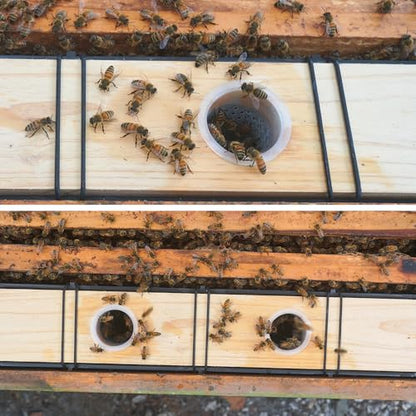 4 Pack 3.5L Bee Feeder, Bee Hive Feeder, Beehive Frame Feeder, Deep Frame Water Feeder for Beekeeping Feeding Equipment Bee Tools Beehive Supplies - size: 4PCS 3.5L