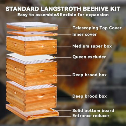 10-Frame Langstroth Bee Hive,3 Layers Beeswax Coated Beehive Kit Includes 2 Deep Brood Hive Boxes and 1 Medium Super Bee Box with Beehive Frames and Foundations - size: 3 Layers