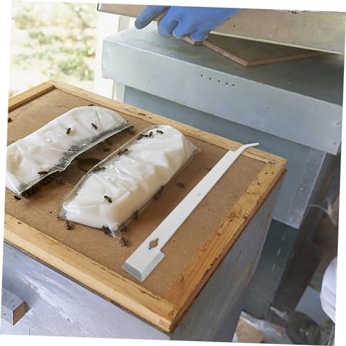 Happyyami 2pcs Professional Beekeeping Tool Stainless Steel Hive Scraper Frame Lifter Easy to Use - color: Silverx2pcs, size: 28.70X4.50X0.20CMx2pcs