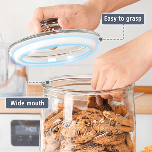 Folinstall 1 Gallon Glass Cookie Jar, Large Glass Jar with Airtight lid, Glass Food Storage Container for Cookies, Candy, Flour, Dog Treats, Coffee, Laundry Room Storage & Pantry - size: 1 Gallon/1 Pack