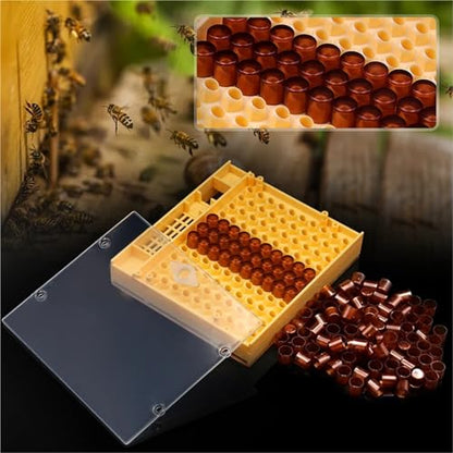 Bee Rearing Kit 1Set Apiculture Kit Queen Bee Rearing Plastic Graft Larva Pen Hair Roller Cage Cell Protection Beekeeping Tool Supplies for Beginners and Bee Keeper(Kit 1) - color: Kit 1