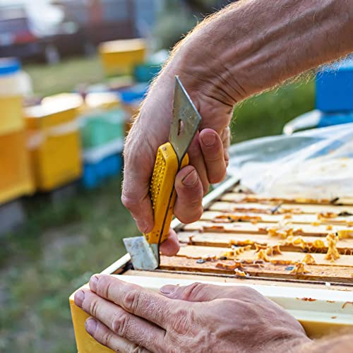 uxcell Stainless Steel Beehive Scraper Tools, Beehive Frame Lifter with Red Paint Handle Beekeeping Equipment Tool for Beekeepers