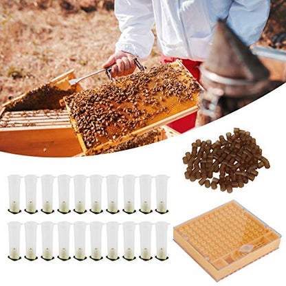 Plastic Queen Bee Rearing Box, Lightweight Portable Bee Grafting Kit Breeding Cell Cup Kit for Beekeeping Equipments Supplies