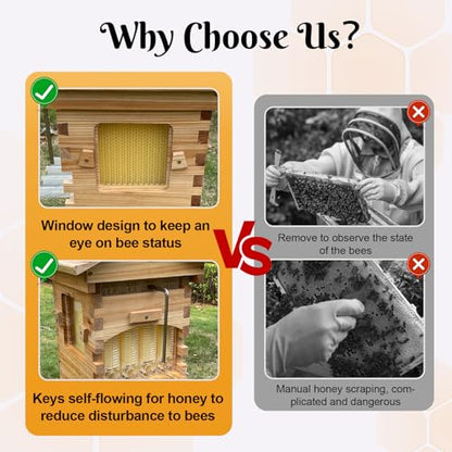 Bee Hive,Auto-Harvest Honey Beehive Wooden Box,Auto Bee Hives Boxes Starter kit with with Observation Chamber,Beehives and Supplies Starter Kit for Beekeepers
