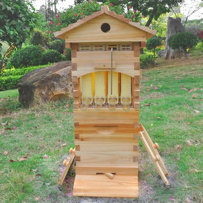 Beehive Nuc Box, Auto Beehive, Cedarwood Bee Hive with 4pcs Auto Honey Frames,6pcs Brood Frames, 1pcs Bamboo Queen Excluder, Easy Assembly Ideal for Beginners