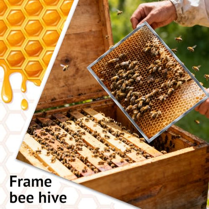 2Pcs Metal Queen Excluder Beehive Queen Bee Excluder Beekeeping Queen Excluders Beekeeping Tools (8 Frame 2Pcs) - size: 8 Frame 2Pcs