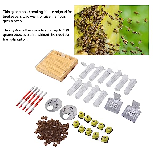 Queen Bee Rearing Kit, 110 Cell Cups, Plastic, No Grafting Required, Easy to Use, Ideal for Beekeepers and Large Scale Queen Production