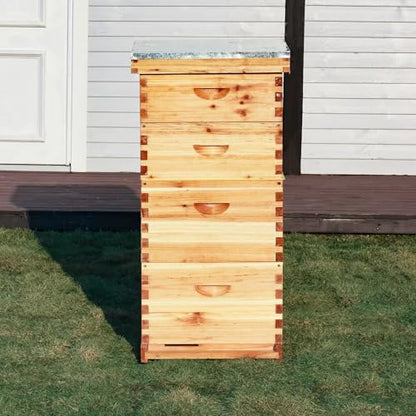 10-Frame Langstroth Bee Hive Coated with 100% Beeswax Includes Beehive Frames and Foundations (2 Deep Boxes & 2 Medium Boxes) - size: 4 Layer