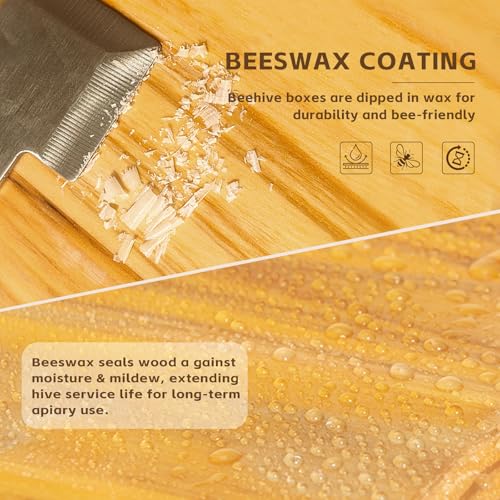 10 Frame Langstroth Deep Brood Beehive Box, Premium Cedar Dipped in Beeswax, Complete Frames & Wax Foundations, Deep Brood Hive Kit for Beginner Beekeepers(Unassembled) - size: 10 frame deep