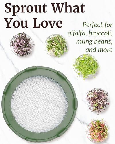 Elementi Sprouts Growing Kit for Wide Mouth Mason Jars, Set of 2 Sprouting Lids for Organic Alfalfa & Mung Bean Sprouts Grow Kit, 316 Stainless Steel Mesh Screen Strainer Lid (Sage Green) - color: Sage Green & Mint