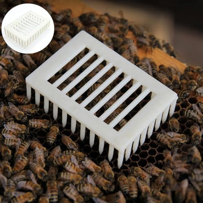6 Pcs Queen Bee Cage Plastic Beekeeping Rearing Box for Isolation Queen Bee Transporting Catcher Tool