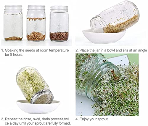 Sprouting Jar Lids WIDE MOUTH Mason Jar Strainer Lid 4 Pack Stainless Steel Strainer Mesh Sprouts Lids for Seed Sprouting Salad Sprouts Broccoli Sprouts Growing Kit