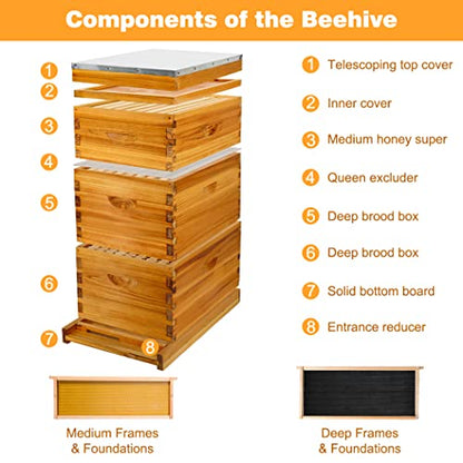 Honey Lake 8-Frame Langstroth Beehive Starter Kit, Beeswax-Coated Hive Boxes with 2 Deep Brood Boxes & 1 Medium Super, Includes Wooden Frames & Waxed Foundations, Complete Beekeeping Kit for Beginners