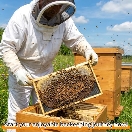 20 Pack Beehive Frames and Wax Foundations for Deep Brood Bee Hives Frames with 100% Beeswax Coated Foundations Sheets Deep Honey Bee Frames and Foundations for Beekeeping - size: 20-Pack