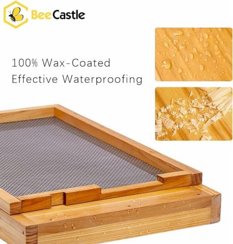 BeeCastle 2 Pcs Beehive Screened Bottom Board Dipped in 100% Beeswax,Screened Bottom Board with Solid Wood (10-Frame) - size: 2PCS-10 Frame