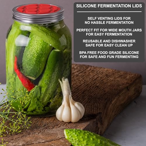 Fermentation Kit with Mason Jar – Fermentation Lids & Glass Weight, Burping Lids for Mason Jars, Easy Vegetable Fermenting Jar Starter Set for Pickles & Sauerkraut