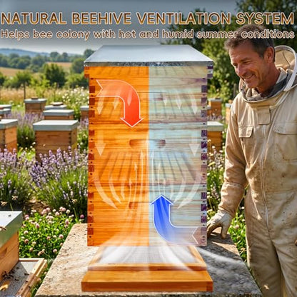 Metal Bee Hive Screened Bottom Board Beeswax Coated, Langstroth 10 Frame Screen Bottom Board with Entrance Reducer for Beekeeper Summer Replacement
