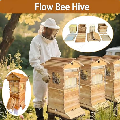 Bee Hive Starter Kit with 4 Frames,Wooden Beehive Box with Observation Window, Complete Honey Bee Hive Kit for Backyard Beekeeping Natural Wood Color