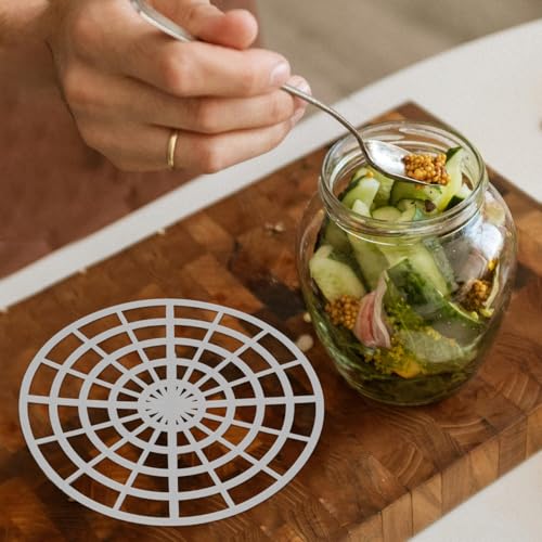 5 Pack Pickle Press Plate Fermenting Pickle Press for Kimchi Vegetables Canning Supplies Round Mesh Jar Fermentation Kit 4.72 X 4.72 X 1.18 in