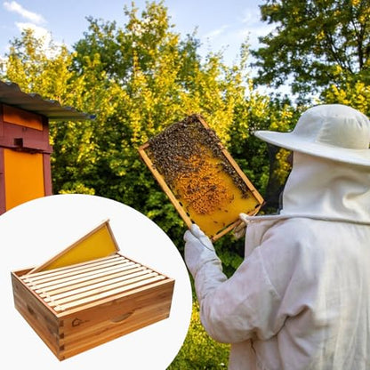 10 Frame Medium Super Bee Hive Box, Langstoth Beehive Honey Super Box, Bee Box Dipped in 100% Beeswax Includes Wooden Beehive Frames & Waxed Foundations for Beginner Beekeeper