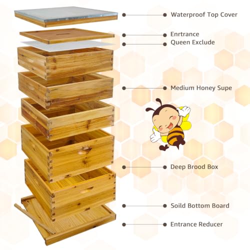 5-Layer Langstroth Beehive Kit, Beeswax Coated Wood Bee Hive with 2 Deep Breeding Boxes and 3 Medium Super Boxes, 10-Frame Standard Wooden Bee House with Waterproof Metal Top, No Frames