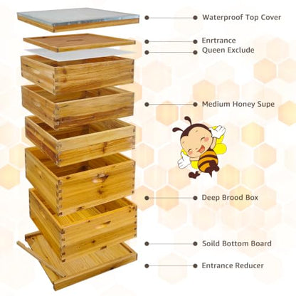 5-Layer Langstroth Beehive Kit, Beeswax Coated Wood Bee Hive with 2 Deep Breeding Boxes and 3 Medium Super Boxes, 10-Frame Standard Wooden Bee House with Waterproof Metal Top, No Frames